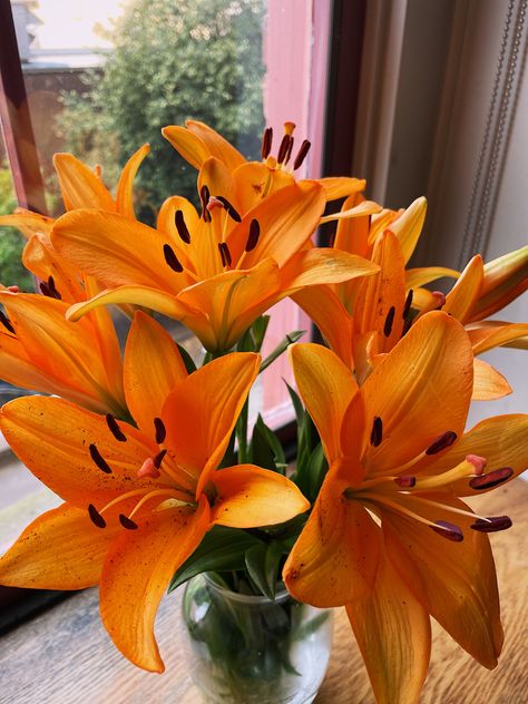 my fav ❀ Orange Lillies Flowers, Tiger Lillie’s, Lillies Drawings, Tiger Lily Aesthetic, White Lily Flower Bouquet, Flower Vintage Aesthetic, Lilly Flower Arrangements, Lily Flower Arrangements, Lily Flower Aesthetic