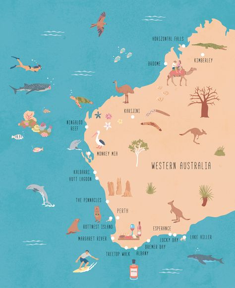 Illustrated map of Western Australia. Western Australia Map, Perth Travel, Australia Trip, Road Trip Map, Map Illustration, Australia Animals, Australian Travel, Australia Map, Perth Australia