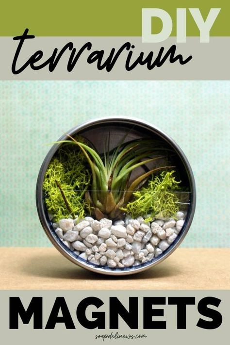 DIY terrarium magnets. A fun family crafts project for adults and kids. Create an air plant terrarium for your fridge with this easy DIY craft project for making air plant terrarium magnets. Learn how to make easy DIY refrigerator magnets. These fun air plant terrariums are a fun family project! Simply adhere a magnet to the back to attach to any metal surface. These terrariums look cute on your refrigerator or filing cabinet and they also make quick and easy homemade gifts. Diy Magnets, Diy Terrarium, Plant Crafts, Plant Terrarium, Rainy Day Crafts, Air Plant Terrarium, Terrarium Diy, Family Project, Metal Surface