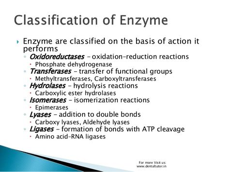 Functional Group, Biology, Lab