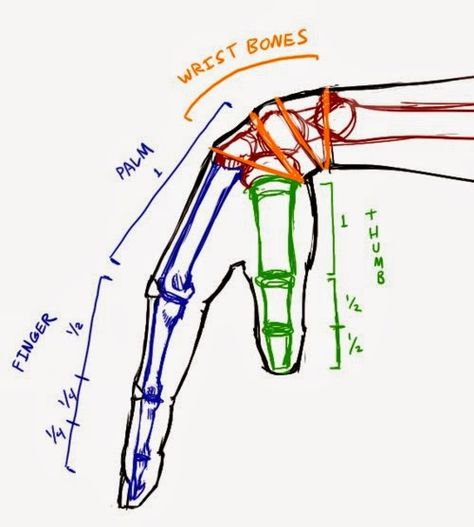 Arm Anatomy, Anatomy Sculpture, Draw Hands, Art Advice, 3d Cnc, Anatomy Sketches, Anatomy For Artists, Hand Sketch, Anatomy Drawing