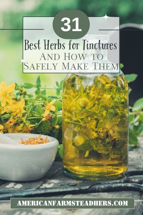 St Johns Wort Plant, Outdoor Apothecary, Growing Herbs Inside, Growing Herbs In Pots, Herb Tinctures, Herbal Medicine Recipes, Food Medicine, Herbal Tinctures, Herbal Healing