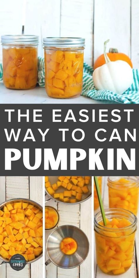 Canning Pumpkin Puree, Canning Pumpkin, Canning Squash, Canned Pumpkin Recipes, Can Pumpkin, Pumpkin Puree Recipes, Pressure Canning Recipes, Canning Fruit, Frozen Pumpkin