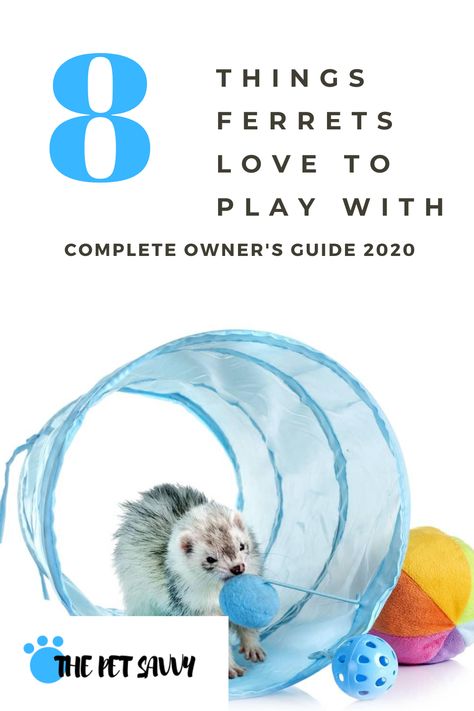 Ferret Diy Toys, Ferret Enrichment Diy, Ferret Play Area Ideas, Ferret Room Ideas, Diy Ferret Stuff, Ferret Enrichment, Ferret Playpen, Ferret Cage Ideas, Horses Toys