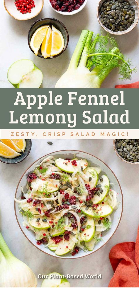 Join us as we take a culinary journey and delve into the world of our Fresh Fennel and Apple Salad. With its refreshing fennel, crisp apples, and delightful dressing, this salad is the perfect way to introduce a healthy, yet delectable addition to your meal plan. Pin this now and experience the magic! Fennel And Apple Salad Recipes, Fennel Bulb Salad, Fennel Apple Slaw, Fennel Apple Salad Recipes, Fennel Salad Recipes, Wholesome Salads, Fennel Apple Salad, Apple Fennel Salad, Fennel And Apple Salad