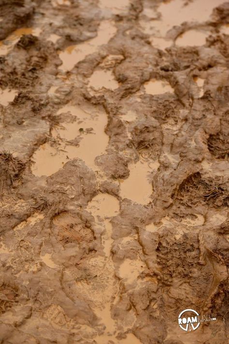 Muddy Aesthetic, Mud Aesthetic, Muddy Footprints, Mud Texture, Dirt Texture, Terrain Texture, Mud Water, Nature Elements, High Ground