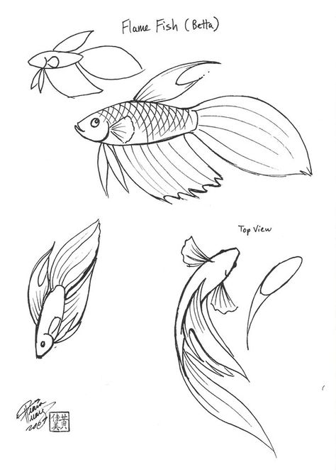 Flame Fish by Diana-Huang on DeviantArt Beta Fish Doodle, Beta Fish Illustration, Beta Fish Line Art, How To Draw A Betta Fish, How To Draw A Beta Fish, Beta Fish Drawing Simple, Betta Fish Sketch, Betta Fish Drawing, Beta Fish Drawing