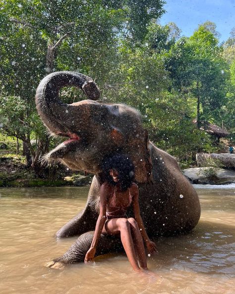 @megan.milan on Instagram: “No edits, no filters, just pure joy 🫶🏾🐘” Megan Milan, Bali Elephant, Terrence Loves You, Bali Baby, Thailand Honeymoon, Thailand Elephants, Thailand Vacation, Elephants Photos, Elephant Sanctuary