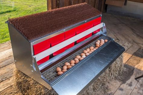 Metal Chicken Nesting boxes | Best Nest Box - bestnestbox.com Reban Ayam, Chicken Nest, Cheap Chicken Coops, Urban Chicken Farming, Portable Chicken Coop, Chicken Nesting Boxes, Urban Chickens, Nest Box, Coop Design