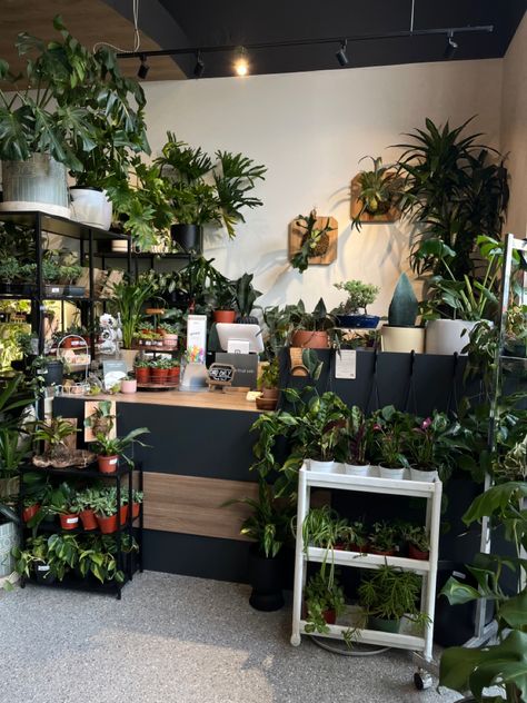 #plants #assthetic #pothos #monstera #plant #greens #garden #nursery #planting #plantbased #flowers #plants Plant Shop Ideas, Plant Shop Aesthetic, Greens Garden, Plant Shops, Flower Shop Interiors, Wall Table Decor, Flower Shop Design, Bohemian Nursery, Farm Nursery