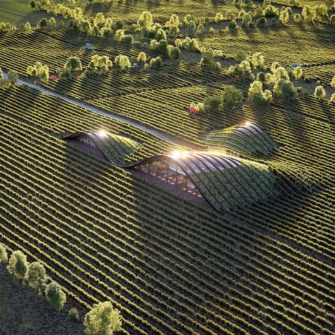 Project: Vineyard | Place: Kakheti, Georgia | Client: X-Architecture | Software: 3ds max, corona, psFull CGI                                                                                                                                                                                 More Agritecture Design, Architecture Software, Architecture Cool, Underground City, Earth Sheltered, Parametric Design, Green Architecture, Organic Architecture, Earthship