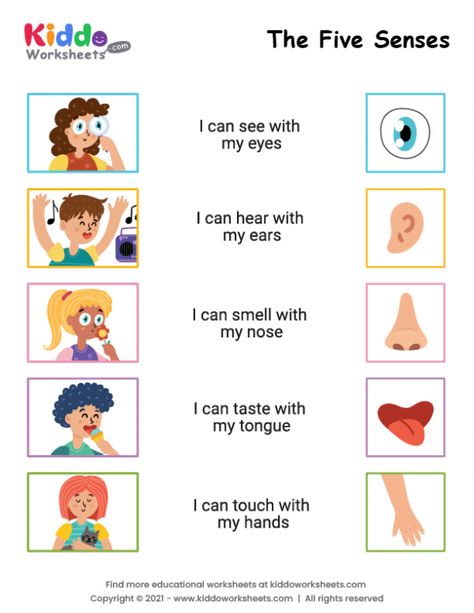 Senses Worksheets For Kids, 5 Senses Craft, Fire Safety Preschool Crafts, 5 Senses Worksheet, Five Senses Worksheet, Preschool Worksheets Free Printables, Disiplin Anak, My Five Senses, Worksheet Kindergarten