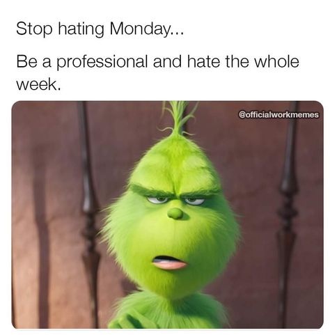 Toxic Coworkers, Relatable Humor, Funny And Relatable, Monday Humor, Work Quotes Funny, Motivational Quotes For Students, Teacher Memes, Work Jokes, Celebrity Trends