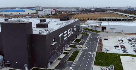 Tesla Company, Tesla Video, Tesla Battery, Company Building, Fashion Professional, Tesla Ceo, Construction Activities, Tesla Car, Tesla S