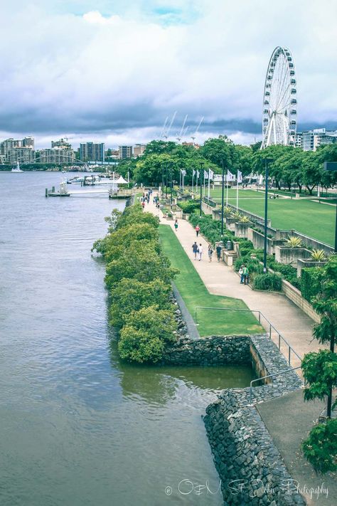 Clem Jones Promenade runs along the river in South Bank. Brisbane Sustainable City, Brisbane City, Property Investment, South Bank, Brisbane Australia, Queensland Australia, What To Eat, Tips And Advice, Australia Travel