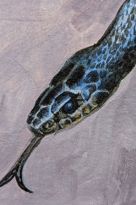 A realistic painting of a black snake. Painting Timelapse, Snake Painting, Reptile Snakes, Black Snake, Painting Process, Surreal Art, Snakes, Animal Paintings, Scales