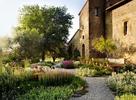 How to drought proof your garden | House & Garden Luciano Giubbilei, Cupressus Sempervirens, Tuscan Garden, Spanish Garden, Dig Gardens, Italian Garden, Mediterranean Garden, House Garden, Country Gardening