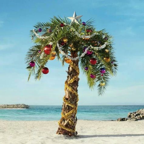 Merry Christmas                                                                                                                                                                                 More Caribbean Christmas, Christmas Palm Tree, California Christmas, Florida Christmas, Hawaiian Christmas, Beachy Christmas, Coastal Holiday, Tropical Christmas, Beach Christmas