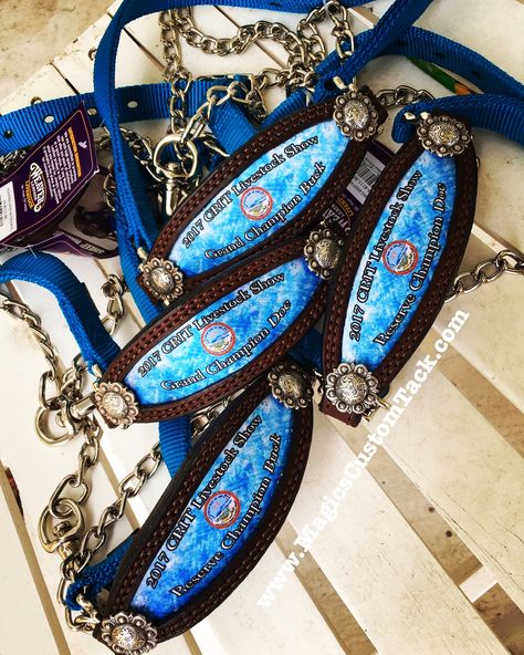 Magics Custom Tack Goat bronc show halters done for a livestock show!  Magicscustomtack@hotmail.com 4-H FFA Boar Goats, Goat Showing, Lane Frost, Show Cows, Livestock Show, Paint Leather, Baby Goat, Western Horse Tack, Showing Livestock