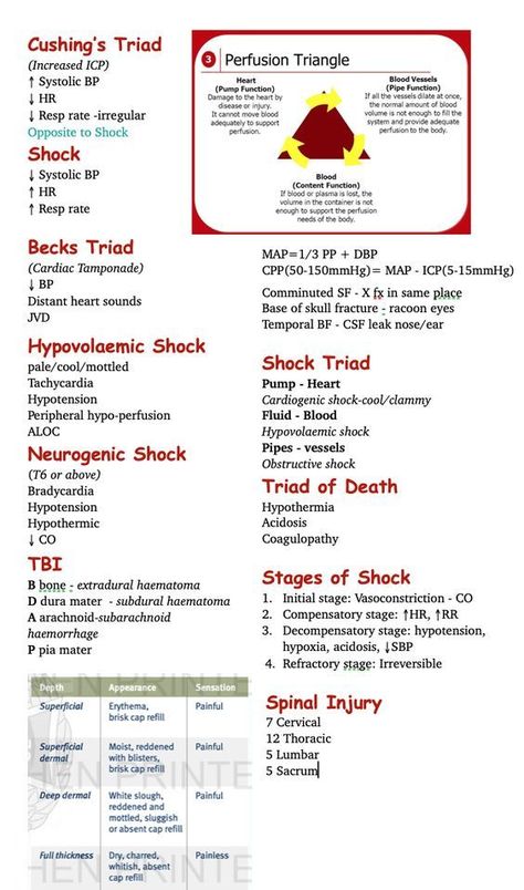 Paramedic School Essentials, Emt Study Medical Mnemonics, Emt Basic Medications, Paramedic Study Guide, Emt Study Guide, Emt Basic Notes, Emt Study Tips, Hepatic Encephalitis, Critical Care Paramedic