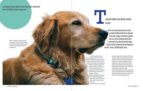 Magazine Layout Pages 1&2 Pet Magazine Layout, Dog Magazine Layout, Animal Magazine Layout, Table Of Contents Magazine, Table Of Contents Design, Magazine Cover Layout, Pet Magazine, Animal Magazines, Magazine Design Cover