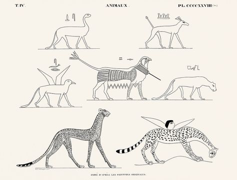 Public Domain Art Nouveau, Ancient Egypt Animals, Egypt Animals, Egyptian Artwork, Egyptian Drawings, Vintage Egypt, Ancient Egypt Art, Free Illustration Images, Egyptian Style