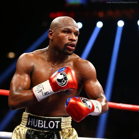 Floyd Mayweather Wallpapers Floyd Mayweather Wallpapers, Money Mayweather, Floyd Mayweather, Grand Rapids Michigan, Workout Motivation, News Update, Grand Rapids, Bodybuilder, Hd Wallpapers