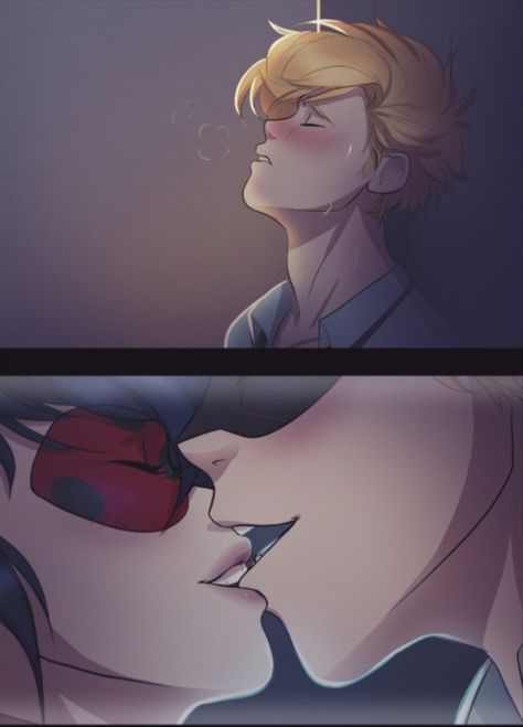 Ladybug Und Cat Noir, Miraculous Ladybug Kiss, Ladybug Art, Ladybug And Cat Noir, Miraculous Ladybug Oc, Miraculous Wallpaper, Miraculous Ladybug Memes, Miraculous Ladybug Wallpaper, Miraculous Ladybug Fanfiction