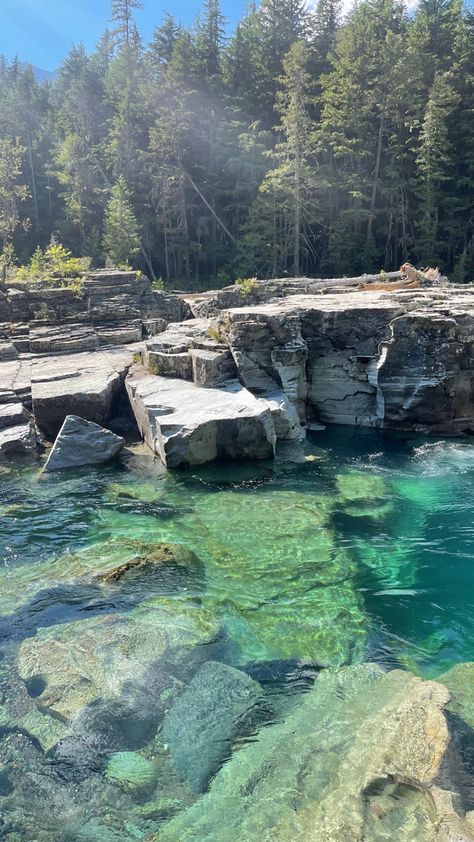 Mcdonald Creek Glacier National Park, Glacier National Park Wildflowers, West Glacier National Park, Glacier National Park Aesthetic, Beautiful Places In The Us, National Park Aesthetic, Montana Glacier National Park, Montana Summer, Montana Mountains