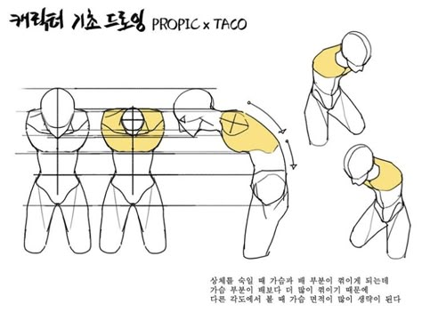 When the torso bends over, the chest and the stomach tends to ‘snap’. When this happens, the chest bends more than the stomach does so when seen from a different angle, a lot the surface area of the chest can’t be seen. Point Character Drawing, Anime Anatomy, Body Cartoon, Drawing Anatomy, Drawing Body Poses, Anatomy Tutorial, Body Drawing Tutorial, Human Anatomy Drawing, Anatomy Sketches