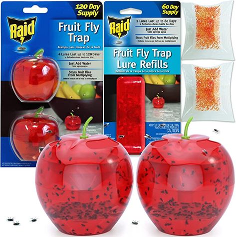 Fruit Fly Traps for Indoors by Raid | 2 Lures + 2 Refills | Effective Fruit Fly Trap for Indoor Use | Fruit Fly Killer & Gnat Traps for House Indoor | Easy to Use & Safe Food-Based Lure Fly Catcher House Fly Traps, How To Kill Gnats, Fruit Fly Catcher, Fruit Fly Killer, Gnat Trap, Fruit Fly Traps, Fly Infestation, How To Get Rid Of Gnats, Gnat Traps