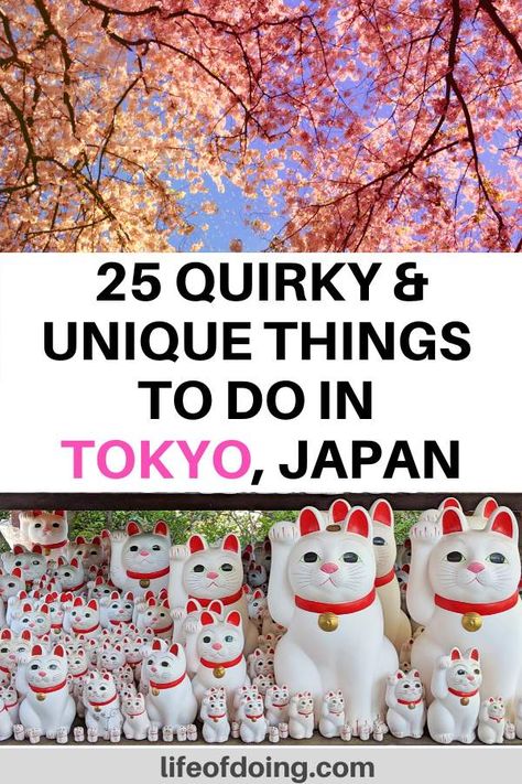 We're sharing the top fun, quirky, and unique things to do in Tokyo, Japan to add to your Tokyo itinerary. Weird things to do in Tokyo | Quirky things to do in Tokyo | Fun things to do in Tokyo | What to do in Tokyo | Tokyo bucket list | Unique Tokyo experiences | Tokyo travel guide | Tokyo day trips | Places to visit in Tokyo | Fun Tokyo attractions | Tokyo top attractions | Japan travel tips #LifeOfDoing #TokyoBucketList #ThingsToDoInTokyo Tokyo Experiences, Japan Experiences, Tokyo Attractions, Tokyo Bucket List, Salmon With Mango Salsa, Salmon With Mango, Tokyo Itinerary, Tokyo Trip, Things To Do In Tokyo