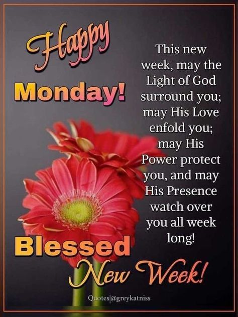 Morning Monday Quotes, Monday Good Morning Quotes, Monday Morning Greetings, Morning Quotes Monday, Monday Morning Prayer, Jesus 2024, Monday Morning Wishes, Monday Good Morning, Monday Morning Blessing