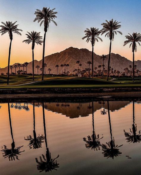 Coachella Valley | La Quinta @CoachellaValley Photo! - by @chad.vh | Instagram Coachella Aesthetic, Palm Desert California, Palm Springs Style, Coachella Valley, Palm Desert, I Want To Travel, Natural Earth, Palm Springs, Springs