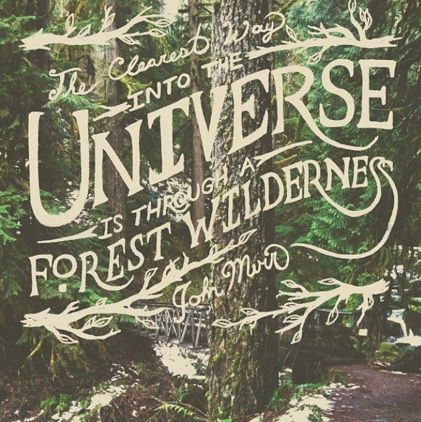 John Muir quote Woods Quote, John Muir Quotes, Quotes Nature, Woods Forest, Muir Woods, Adventure Inspiration, Quote Design, The Mountains Are Calling, Outdoor Quotes