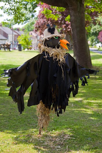 Crow scarecrow | Kane Young | Flickr Garden Scarecrow Ideas, Crow Scarecrow, Garden Scarecrow, Scarecrow Ideas, Scarecrow Decorations, Scary Scarecrow, Scarecrow Festival, Scarecrows For Garden, Diy Scarecrow