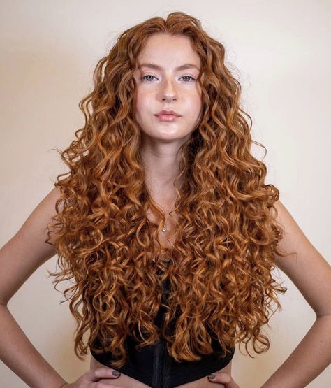 Curly Ginger Hair, Red Hair Inspo, Red Curly Hair, Curly Girl Hairstyles, Hair Reference, Long Red, Orange Hair, Hair Inspo Color, Dream Hair