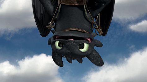 Chimuelo ♥  Cute Toothless Pic by CitoNocteDraconis.deviantart.com on @deviantART Toothless Funny, Toothless Tattoo, Toothless Wallpaper, Cute Toothless, Httyd Toothless, Toothless And Stitch, Toothless Dragon, Fun Fact Friday, Hiccup And Toothless