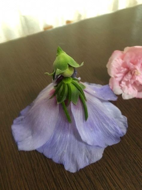 Fairy Design Character, Flower Creature, Flower Oc, Hollyhock Flower, Flower Doll, Faery Art, Fairy Clothes, Fairy Fashion, Flower Fairies