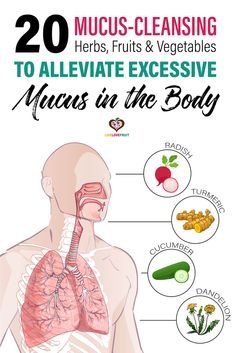 Excessive mucus in the body is irritating and uncomfortable. These 20 mucus cleansing herbs, fruit, and vegetables can help eliminate it. #mucus #excessivemucus #mucuscleanse #freedomfrommucus #mucusproblems #phlegm #mucuscleansingfoods #mucusreliefremedies #mucusinthroat #remedies #wellness #health Mucus In Throat, Getting Rid Of Mucus, Cleansing Herbs, Mucus Relief, Getting Rid Of Phlegm, Best Cough Remedy, Lung Cleanse, Lung Detox, Healthy Lungs