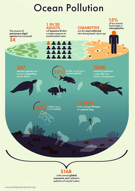 Ocean Pollution on Behance Scientific Poster Design, Infographic Examples, Illustration Infographic, Ocean Ecosystem, Scientific Poster, Marine Pollution, Ocean Pollution, Graphic Design Infographic, Data Design