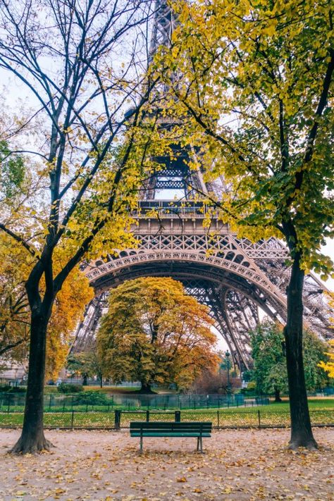 11 Photos of Fall Foliage That Will Make You Fall in Love with Autumn - Passion Passport Pictures Of Paris, Torre Eiffel Paris, The Most Beautiful Pictures, Eiffel Tower In Paris, Tower In Paris, Best Vacation Destinations, European City, Beautiful Paris, Paris Pictures