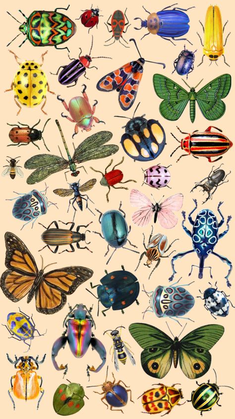 #vibes #vibes #nature #bugs#bug#bugcore #wallpaper#wallpaperaesthetic #wallpapercollage Your Aesthetic, Connect With People, Creative Energy, Bugs, Energy, Collage, Bugs And Insects, Nature