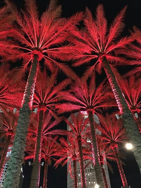 Miami Red Aesthetic, Lighting Palm Trees, Palm Tree Christmas Lights, Neon Palm Tree Aesthetic, Dark Green Palm Tree Aesthetic, Lighting Reference, Room Pics, Red Palm, Dubai Architecture