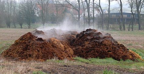 There’s money in horse honey - A look at managing horse manure - Manure Manager Horse Manure Management, Manure Composting, Manure Management, Composting Methods, Heating A Greenhouse, Horse Manure, Compost Tumbler, Composting Process, How To Make Compost