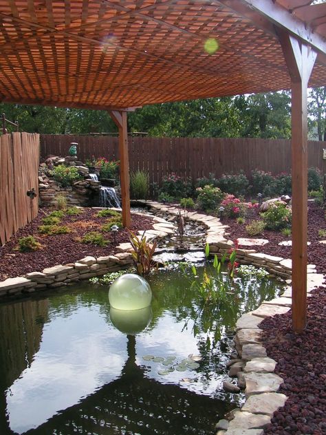 Toms Koi pond Pond Shade Ideas, Ponds Ideas, Yard Pond, Koi Pond Ideas, Raised Pond, Pond Covers, Pond Decor, Koi Pond Design, Fish Pond Gardens