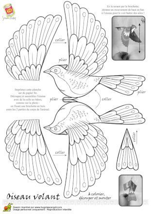 Download Free 3d Pen Templates & Share Your 3d Pen Arts 029 3d Pen Art, Bird Template, Paper Birds, Bird Crafts, 3d Pen, Paper Animals, Fabric Birds, Bird Patterns, Kirigami