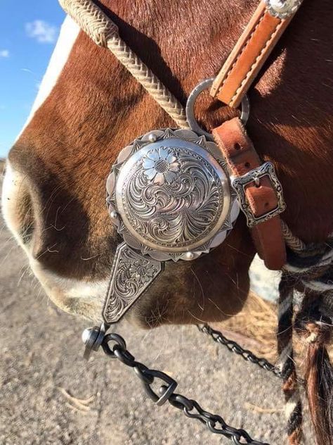 Bridle Bits, Western Headstall, Cowboy Tattoos, Custom Saddle, Western Photo, Western Tack, Cowboy Pictures, Cowboy Gear, Horse Accessories