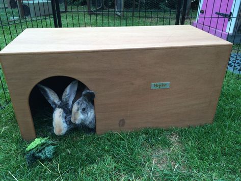 NEW Giant Rabbit Hideout Shelter - Fun Dog House too - Hop Inn Rabbit Shelter, Rabbit Hideout, Reptile Enclosure Ideas, Giant Rabbits, Diy Den, Bar House, Wild Bunny, Giant Rabbit, Pet Bunny Rabbits