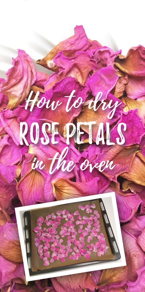 How to dry rose petals in the oven? (tutorial + video) Drying Rose Petals, Dry Rose Petals, Homemade Rose Water, Dry Rose, Fresh Rose Petals, Dog Rose, Drying Roses, Diy Roses, Dried Rose Petals